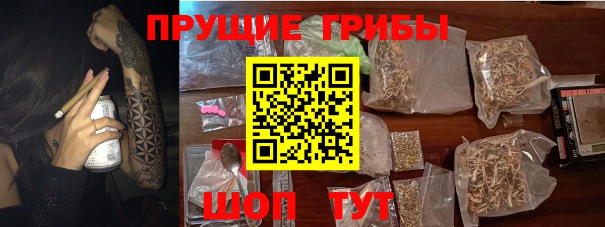 Псилоцибиновые грибы MAGIC MUSHROOMS Волхов