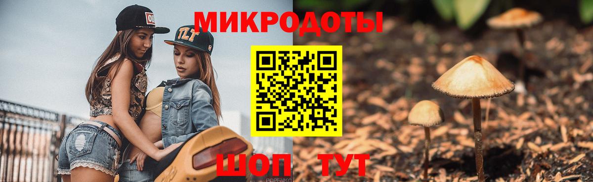 Галлюциногенные грибы MAGIC MUSHROOMS  Вход с VPN  Волхов 
